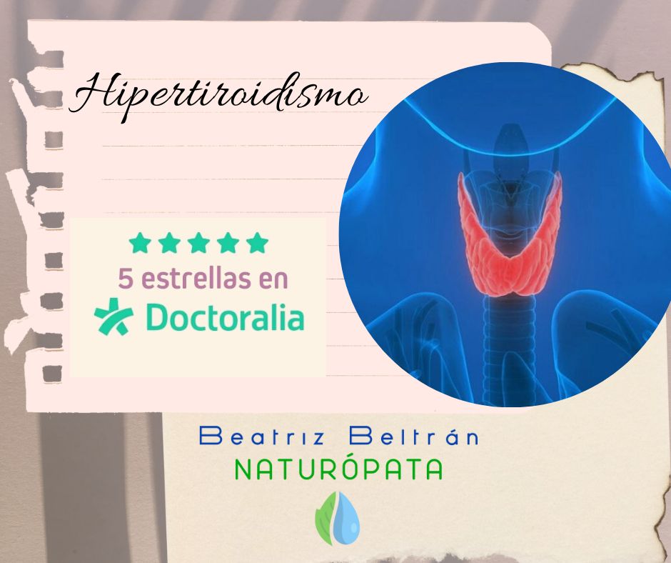 Beatriz Beltran Jordá-19