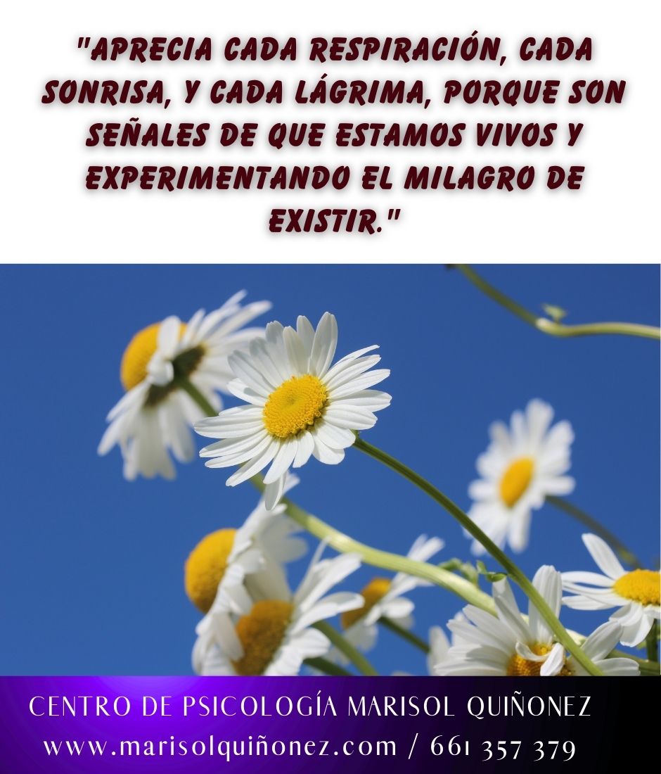 Marisol Quiñonez Quintero-123