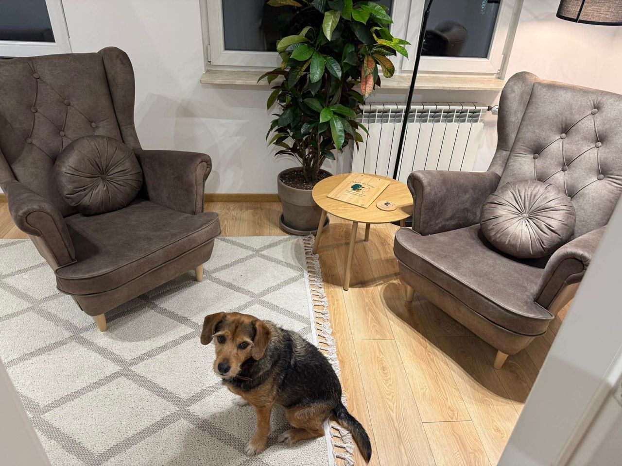 Marta Wasilewska-Grodzka-2