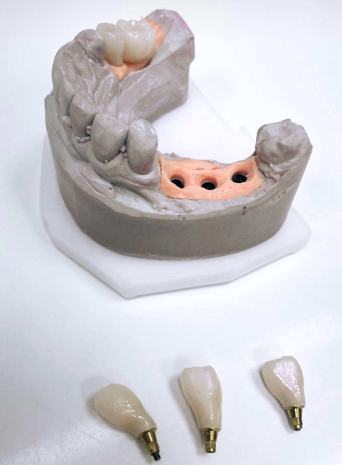 Agata Dąbrowska-Adamek-37