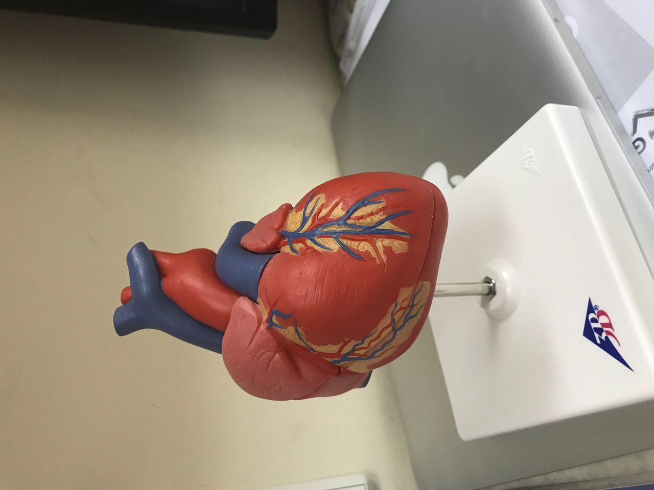 Aleksander Zeliaś-13