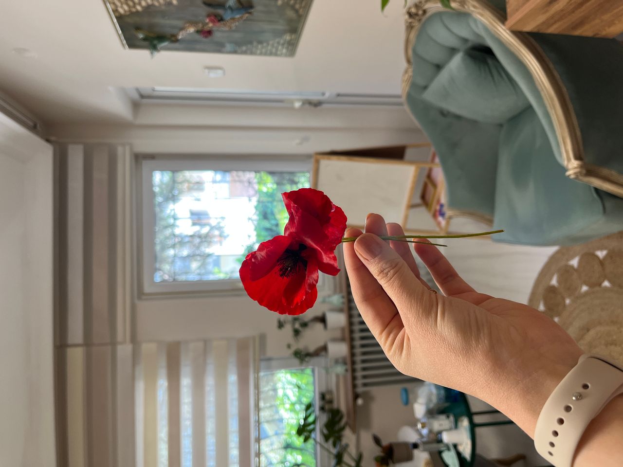 Şule Lütfiye Kıvrak-32