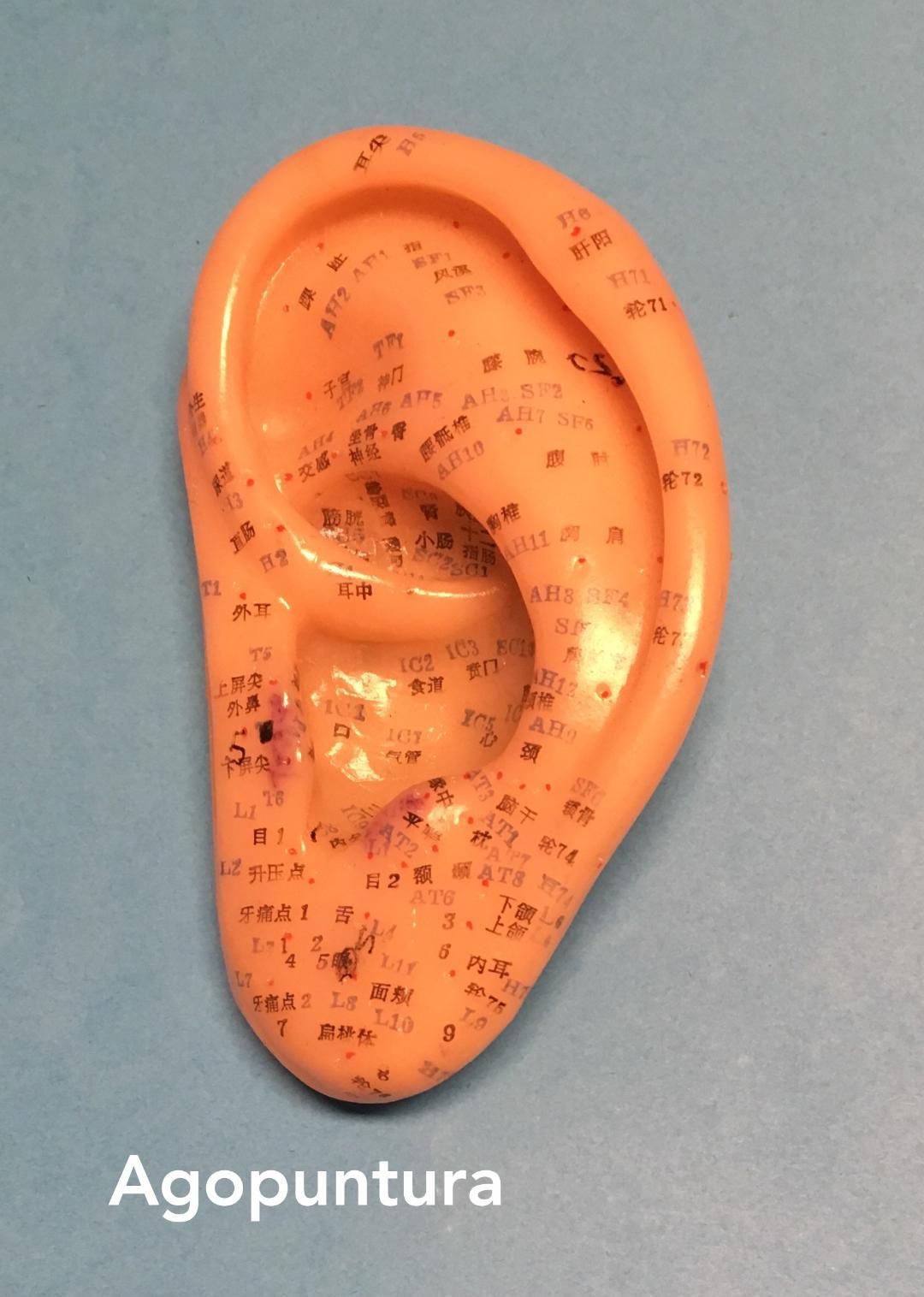 Michelina Borrelli-12