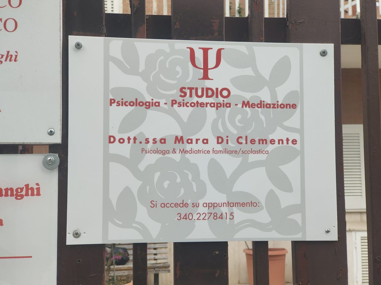 Mara Di Clemente-9