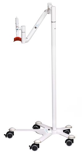 Claudia Muñoz Naranjo-2