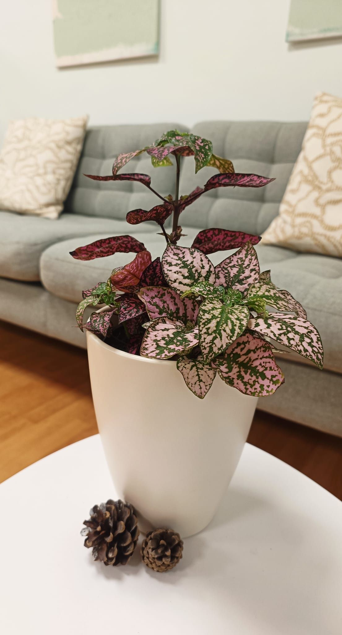 Carolina Rodríguez Berga-7