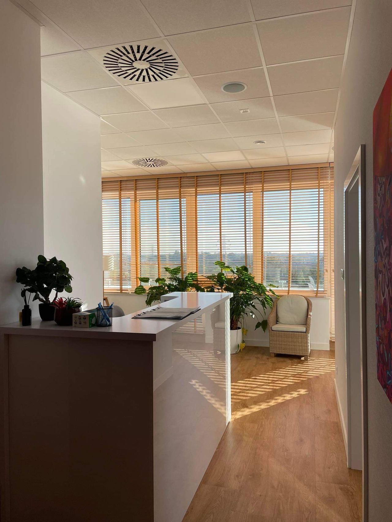 Karolina Orzechowska-2