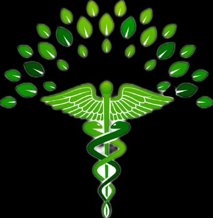 Ninet Vijil Scalici-4