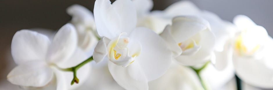 Wolfgang Sausmikat-4