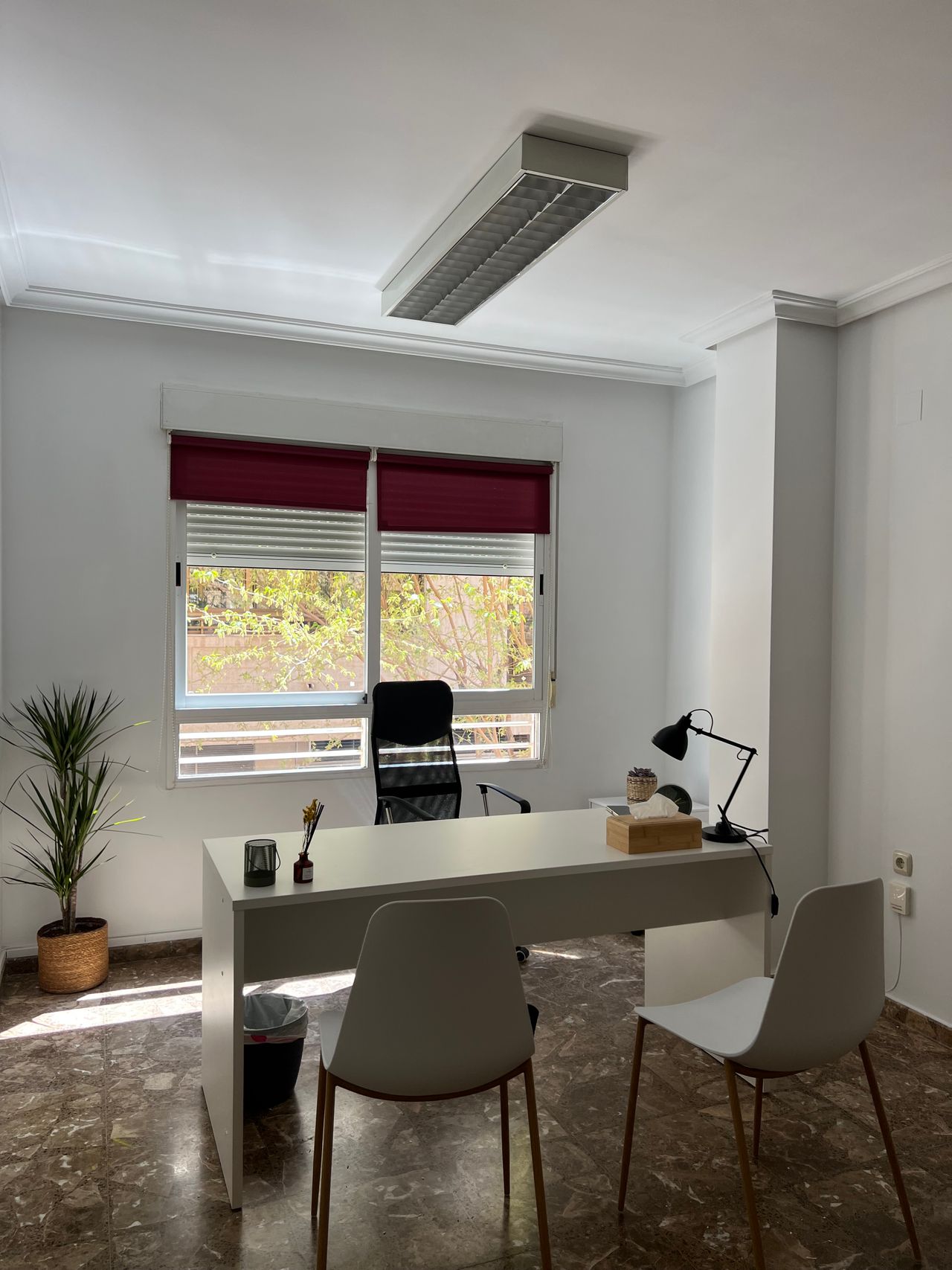 Verónica González González-1