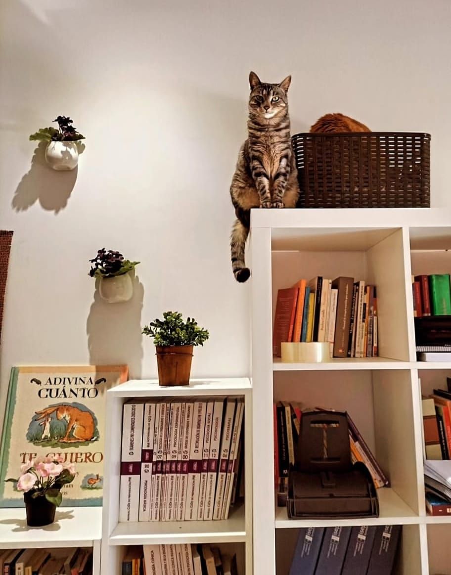 Elvira Infante Alberola-2