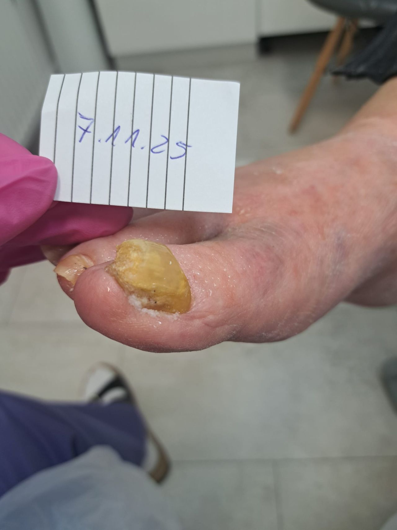 Monika Anhalt-Szawłowska-14