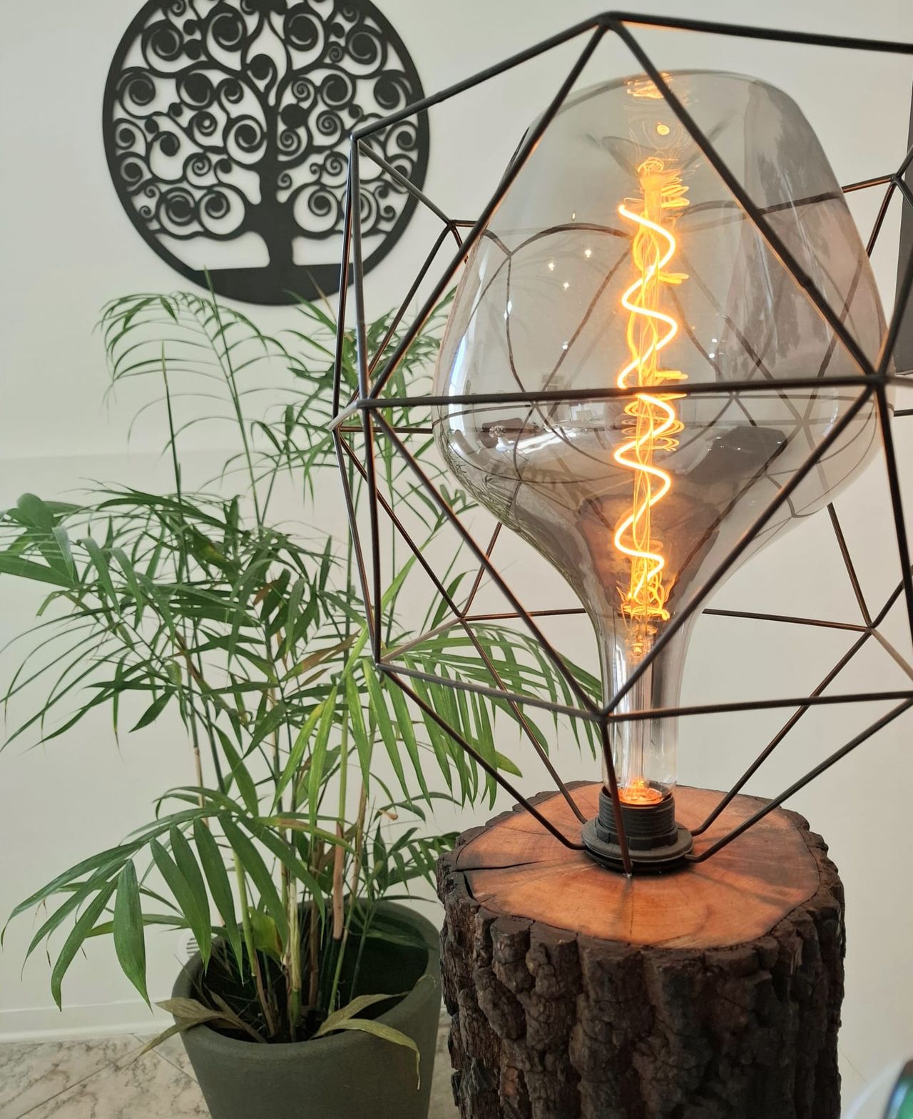 Federica Di Maggio-15