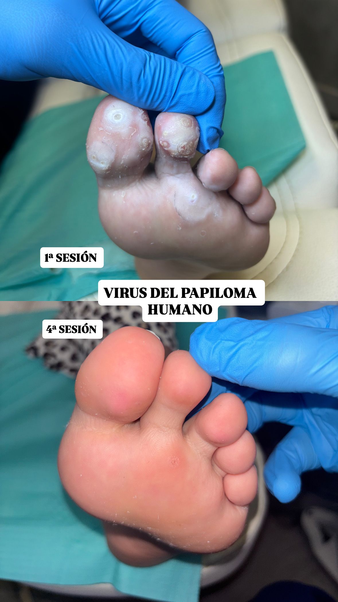 Carlos Vázquez Ardila-0