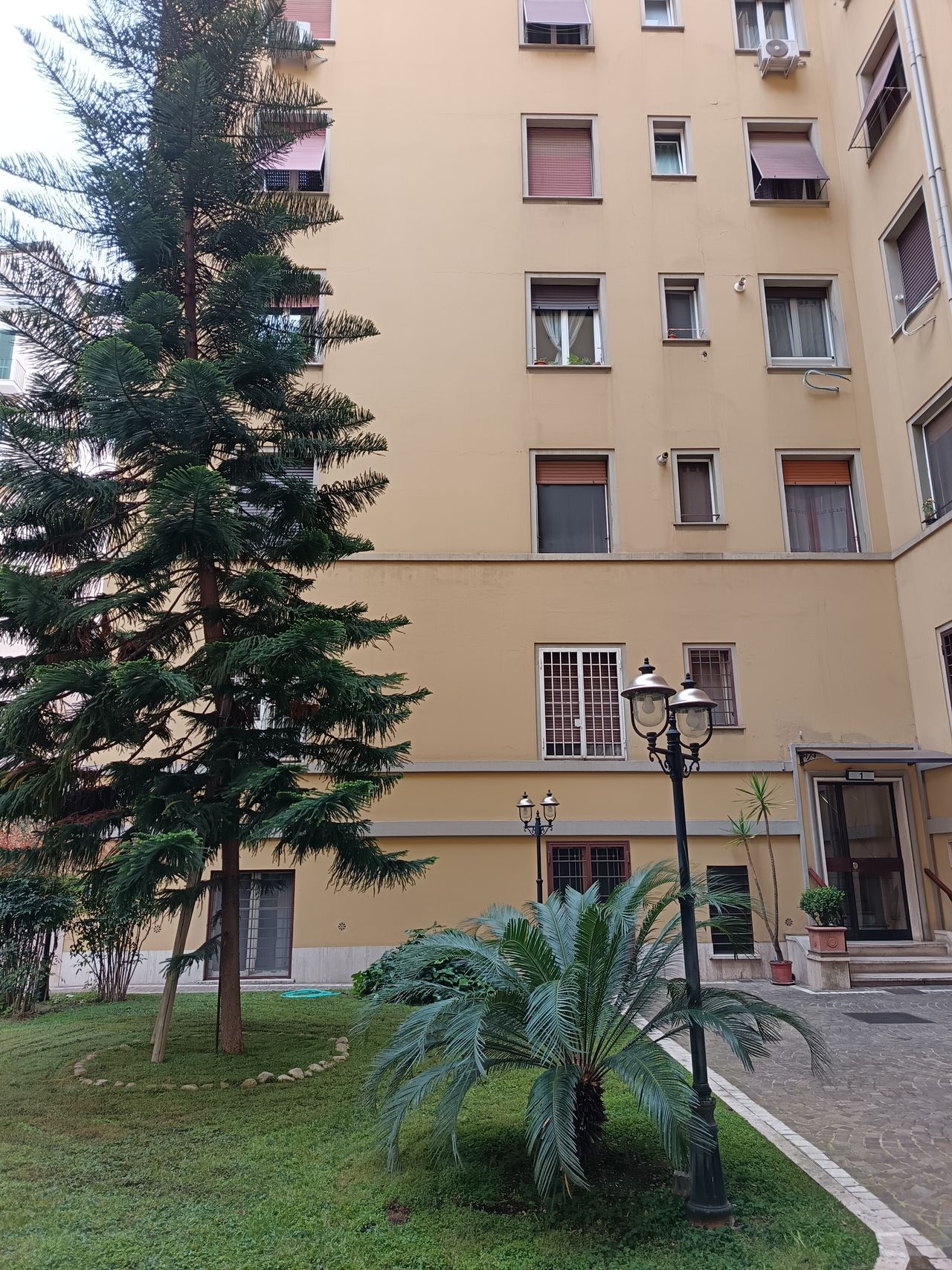 Elisabetta Luciani-6