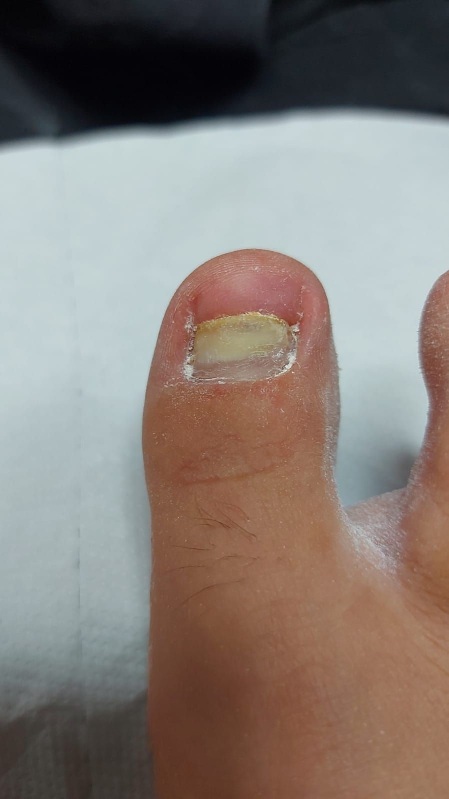 Kassandra Nicolosi-228