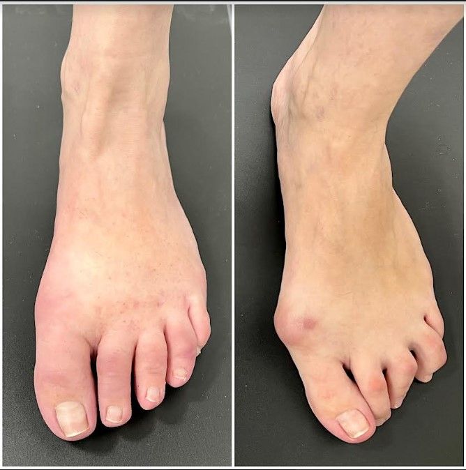 David Palomar Albert-7