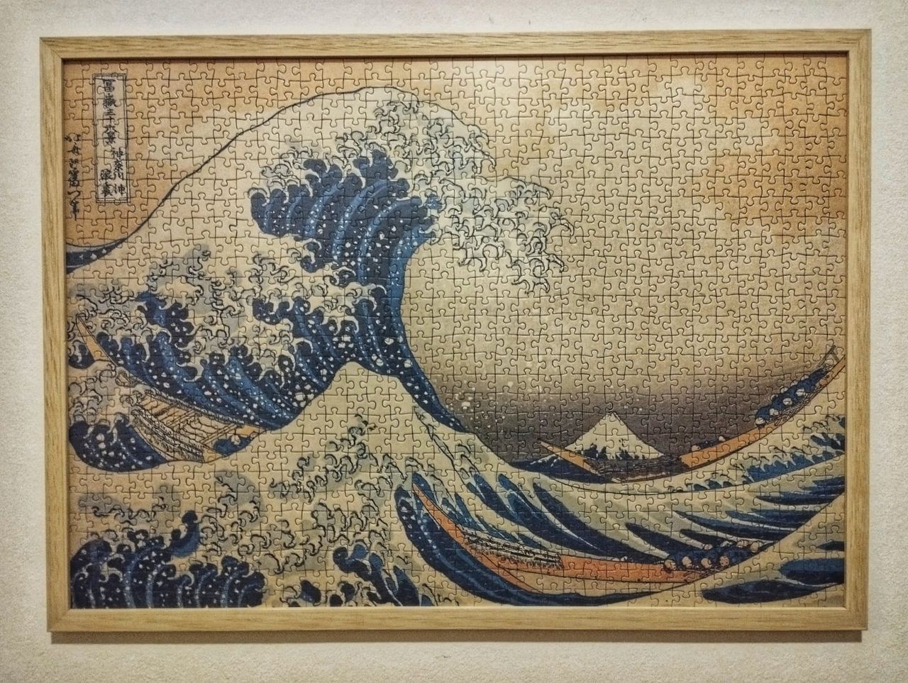 Fiordalisa Melodia-8