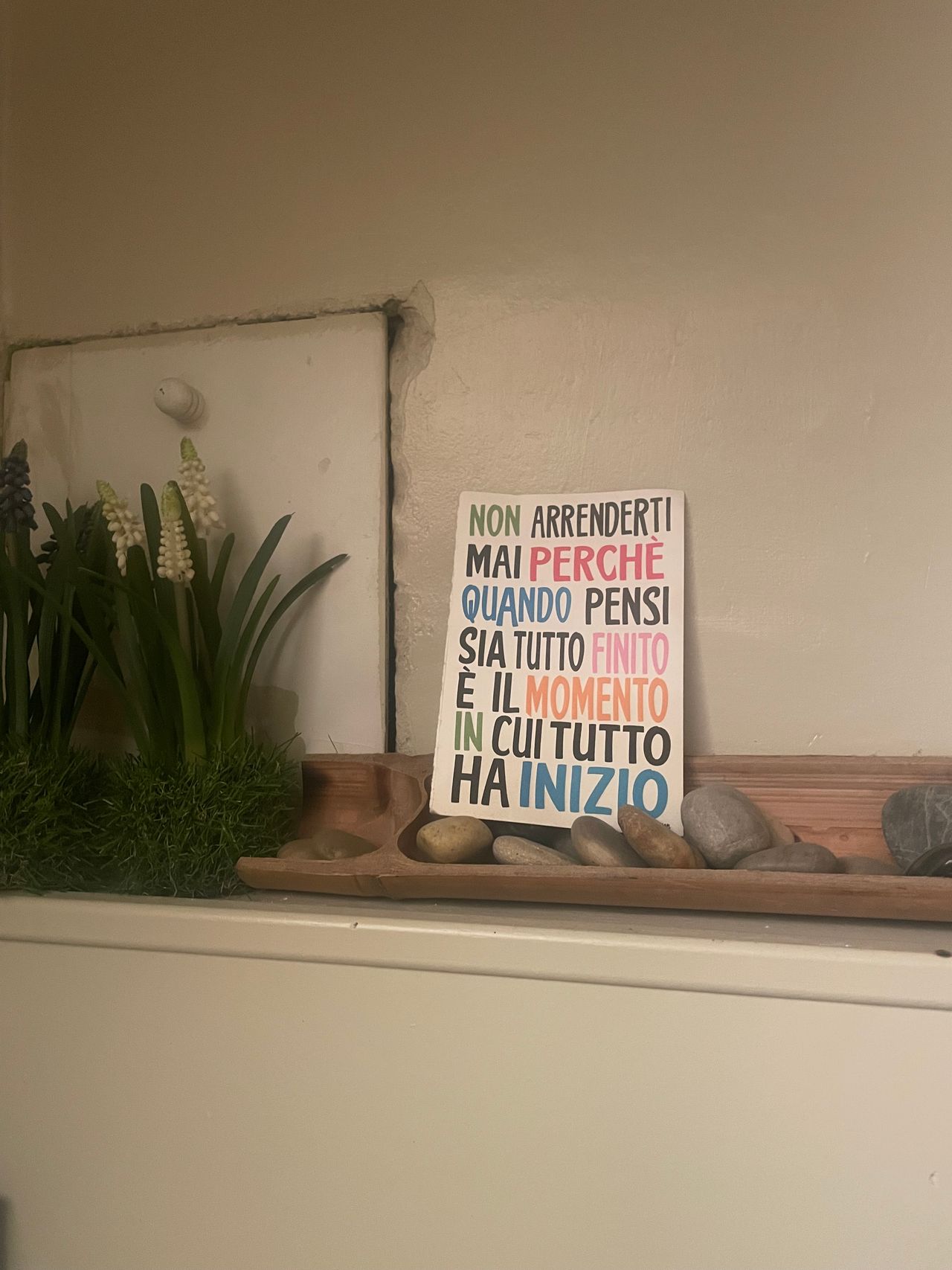 Chiara Cagnoli-2