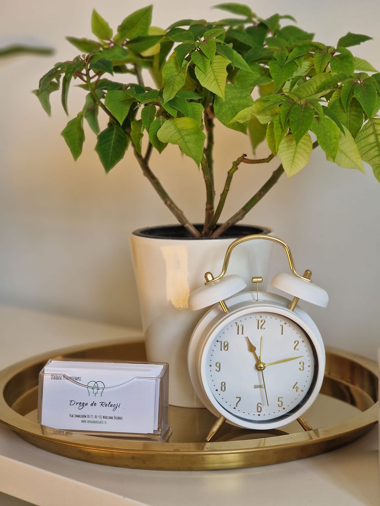 Katarzyna Balcerzak-2