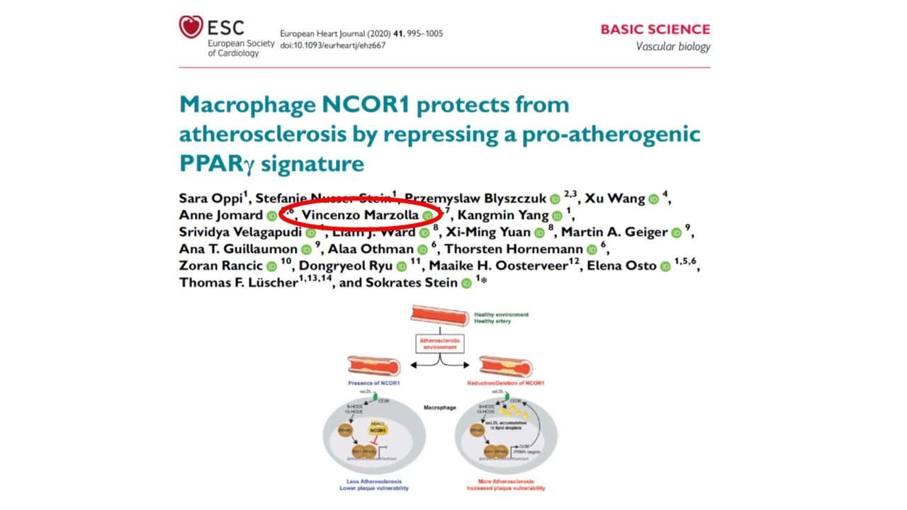 Vincenzo Marzolla-22