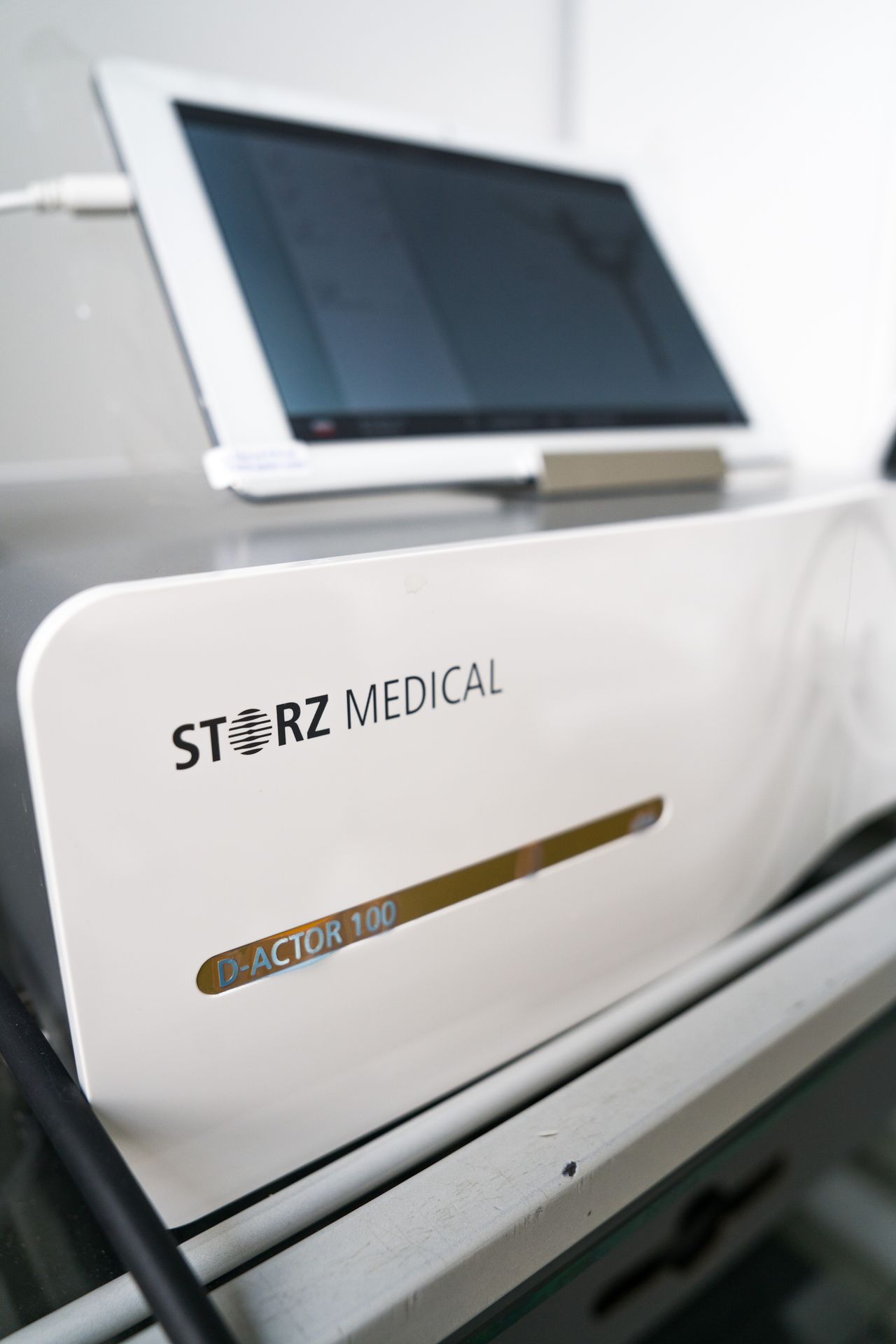 Elżbieta Zegadło-4