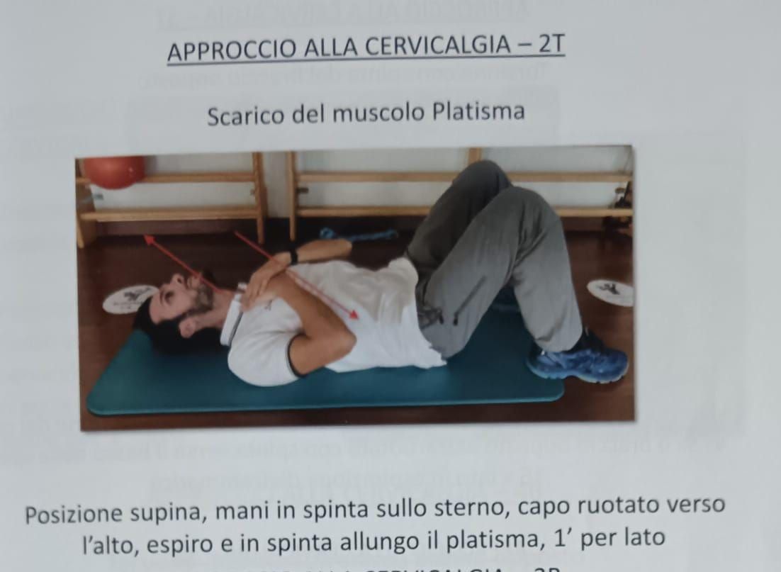 Stella Cavaggion-1