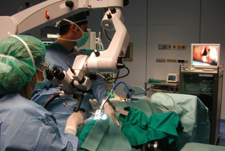 Giovanna Cantarella-0