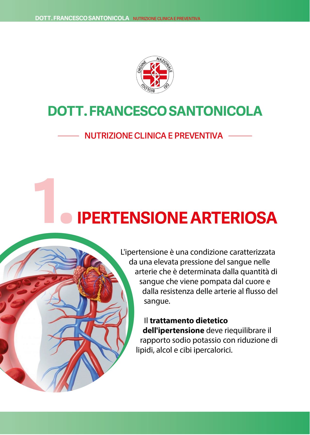 Francesco Santonicola-41