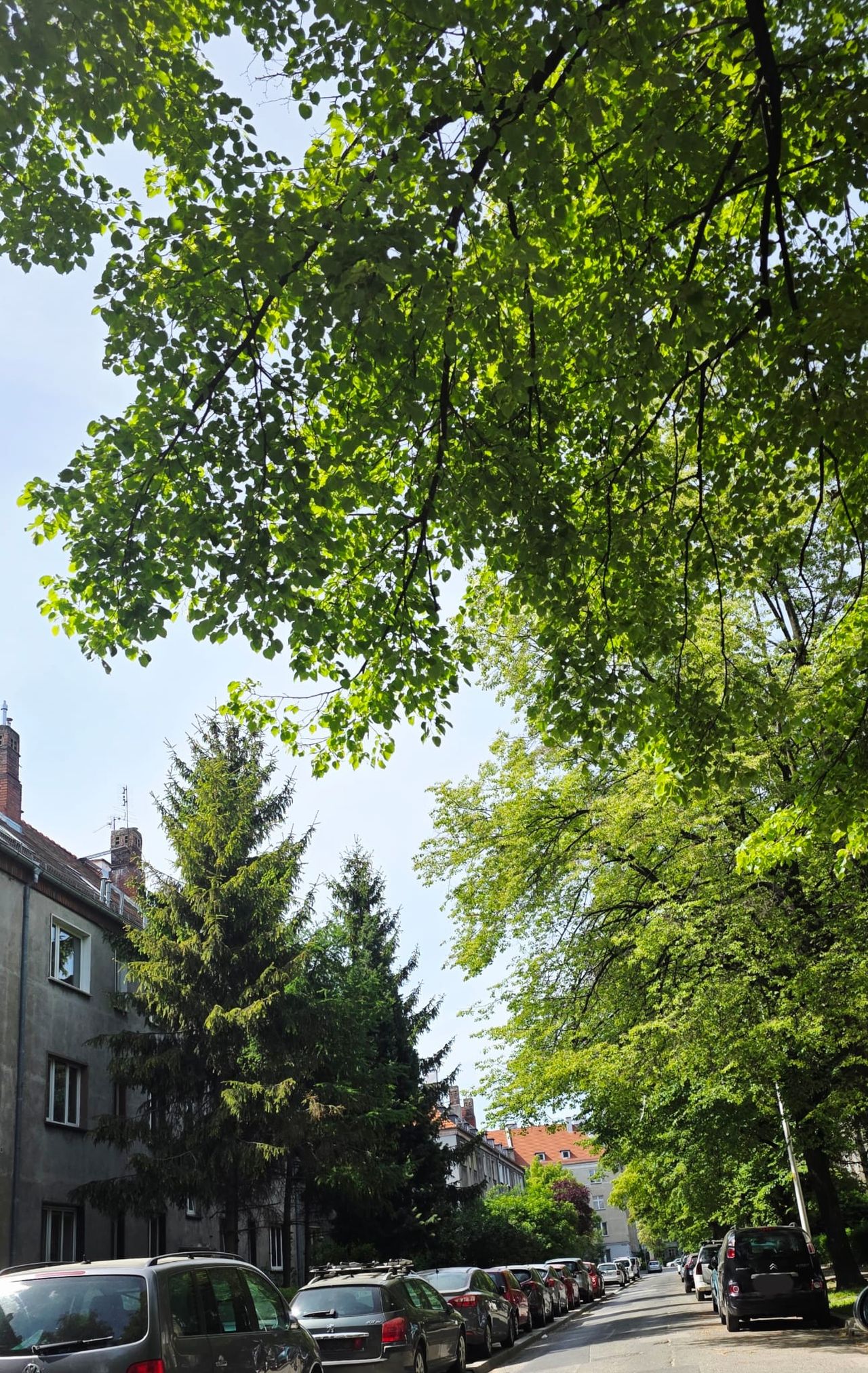 Grzegorz Michalak -6