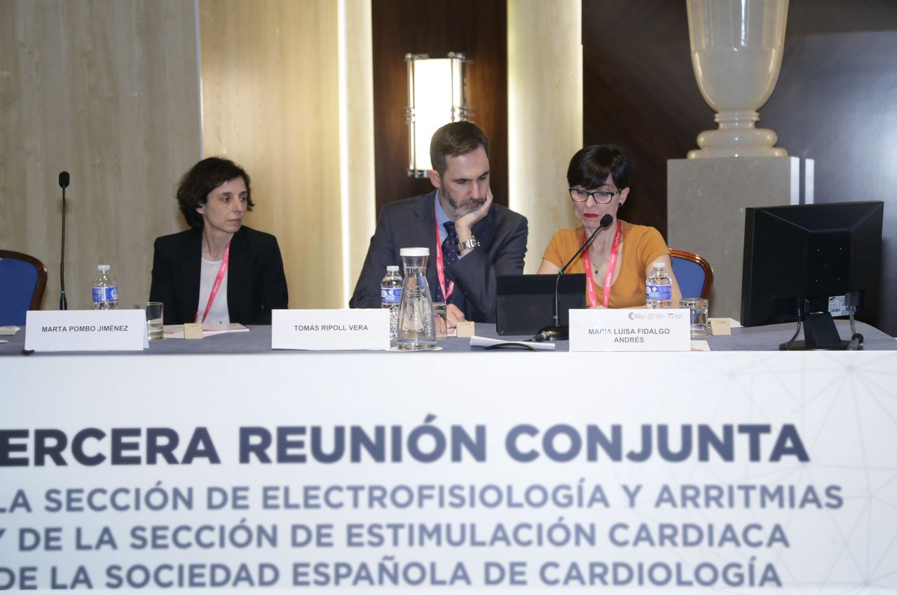 Tomás Ripoll Vera-7