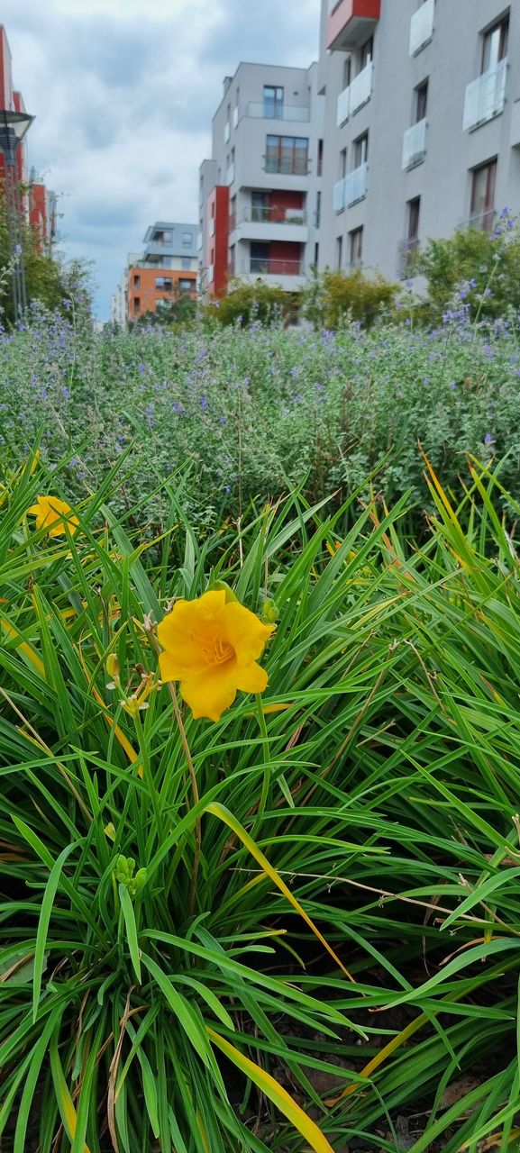 Katarzyna Gałecka-9