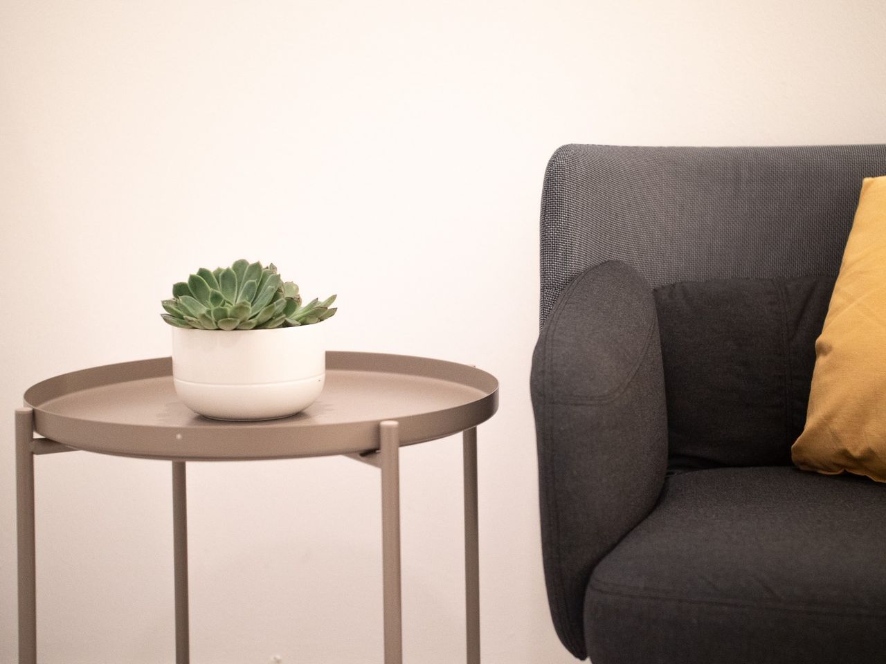 Daniela Benez Ferreira-4