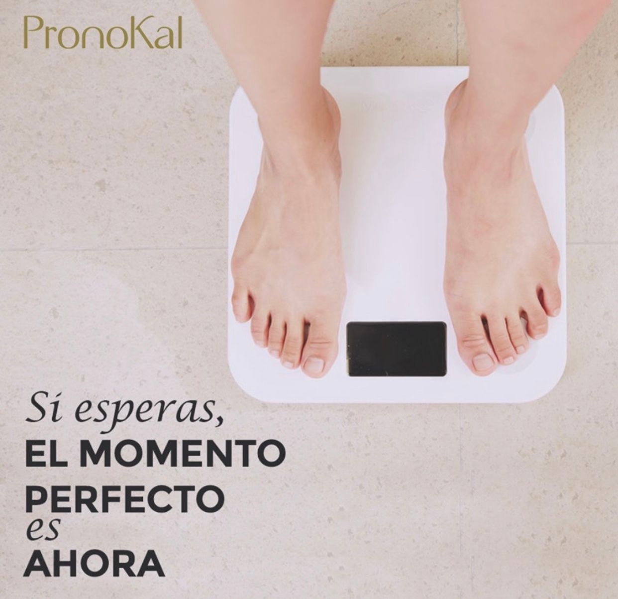 Teresa Merino Gavin-6