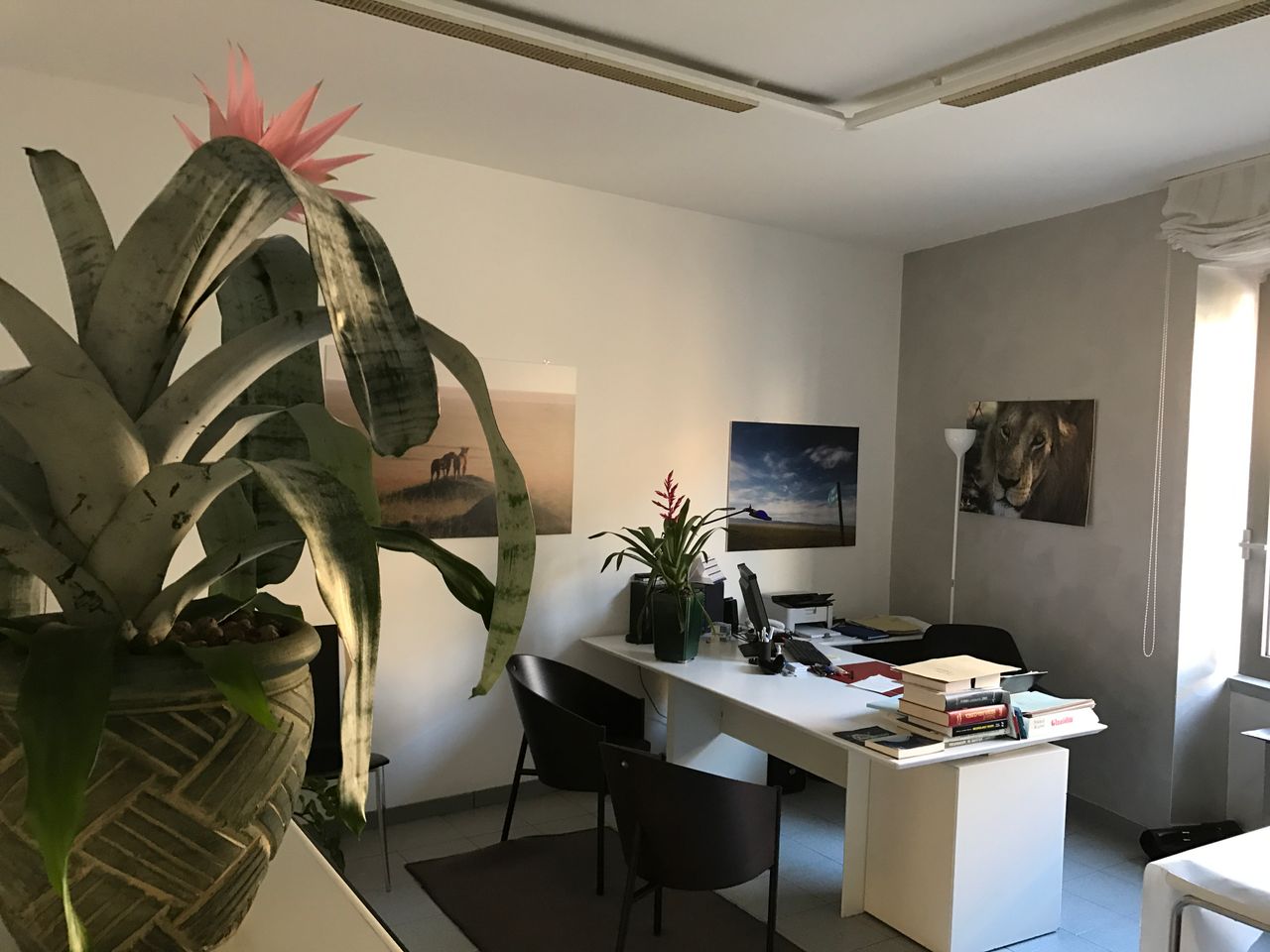 Giorgio Dalla Volta-3