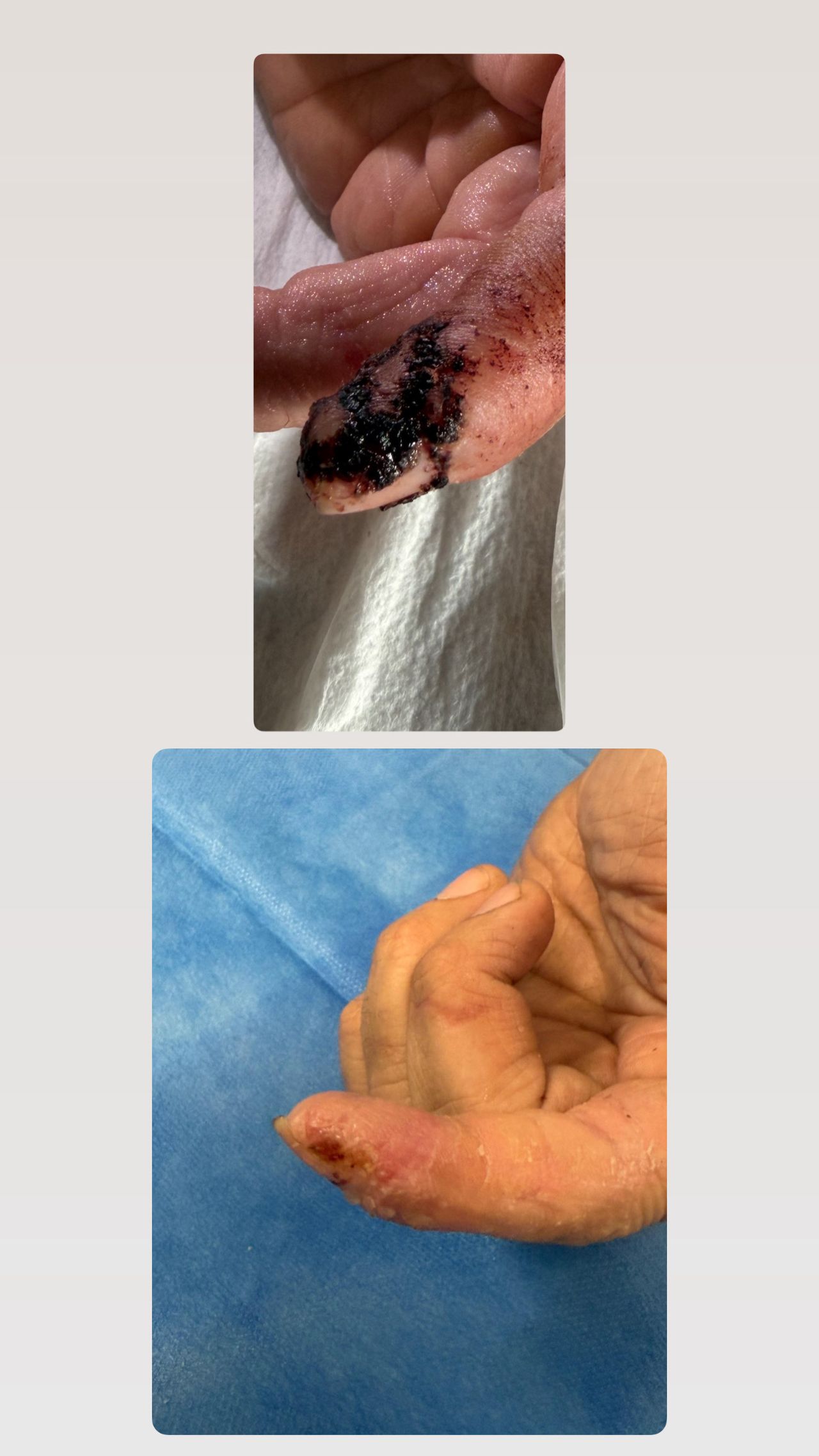 Weronika Joanna Kalamarska-2