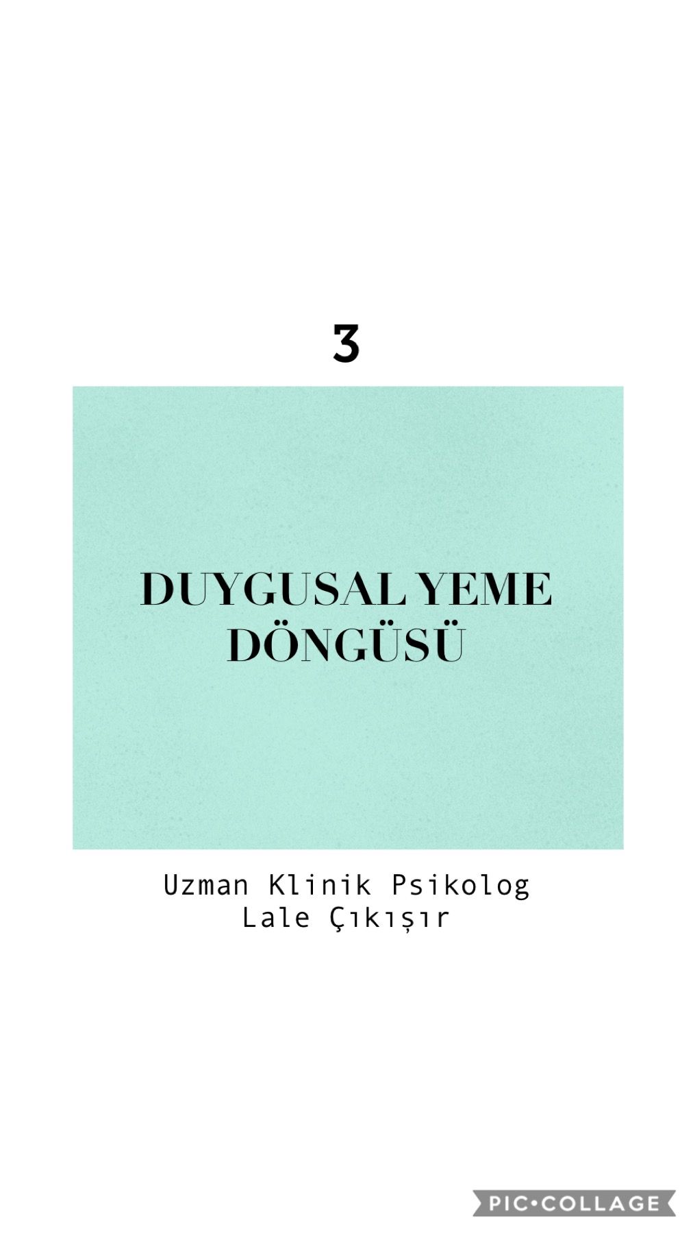 Lale Çıkışır-13