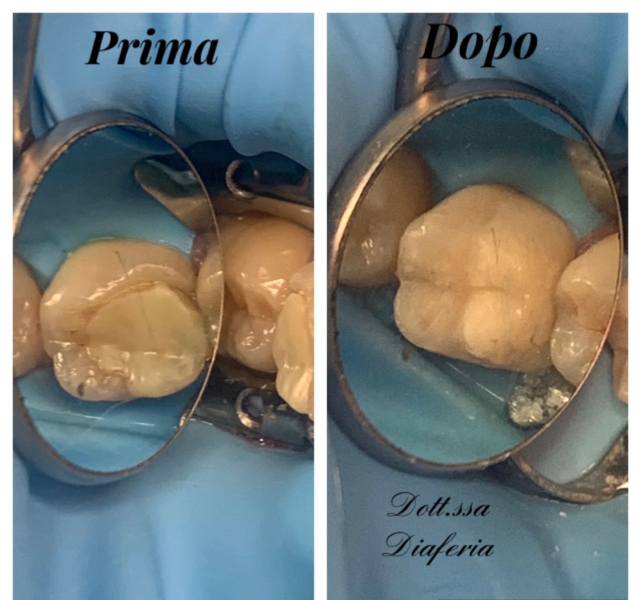 Maria Grazia Diaferia-13