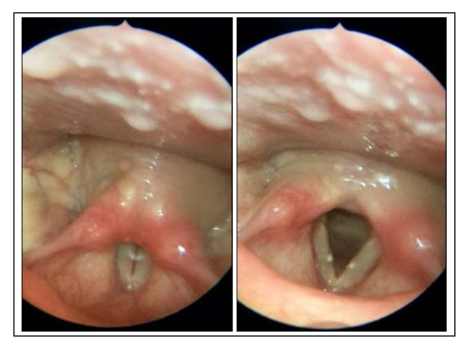 Salvatore Martellucci-3