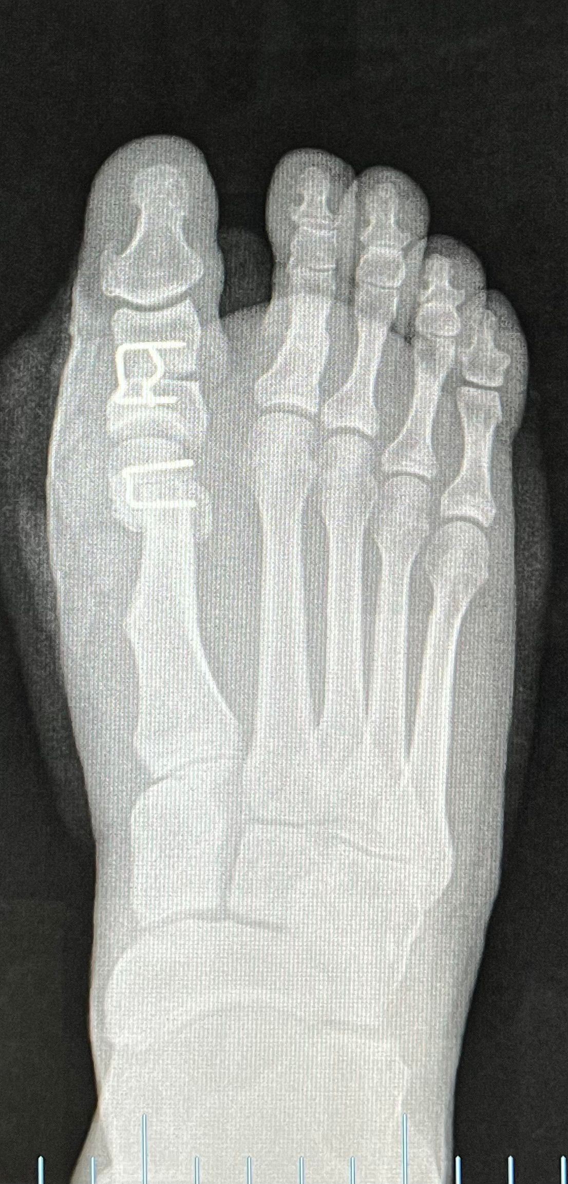 Francesc Soriano Morales-43