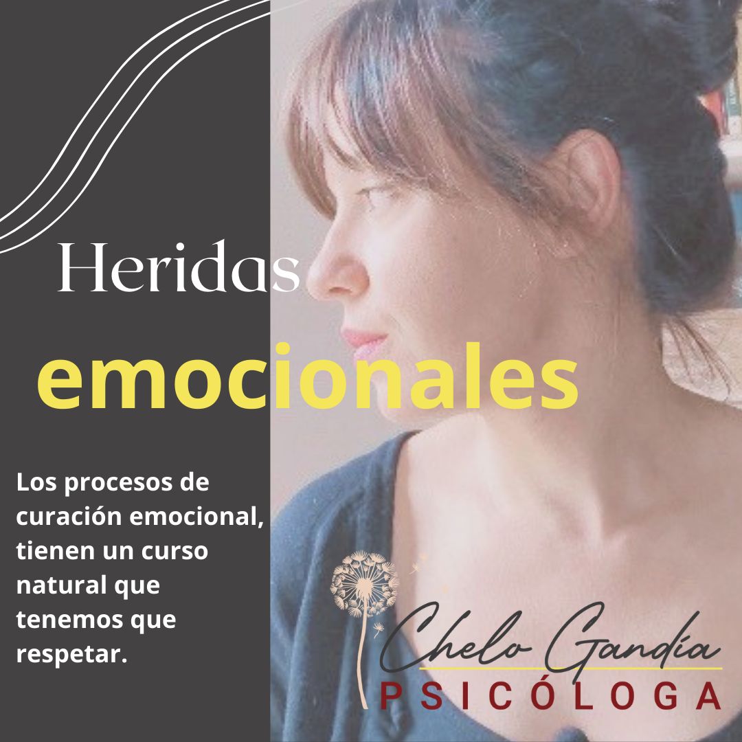 Chelo Gandia Valdés-5