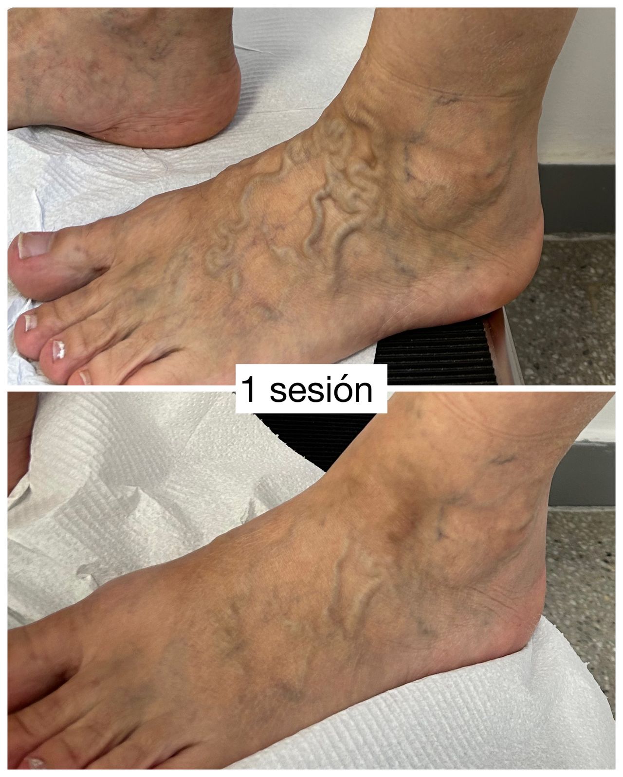 Paulina Pérez Ramírez-13