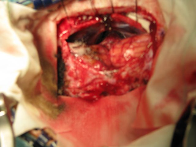 Giancarlo D'andrea-3