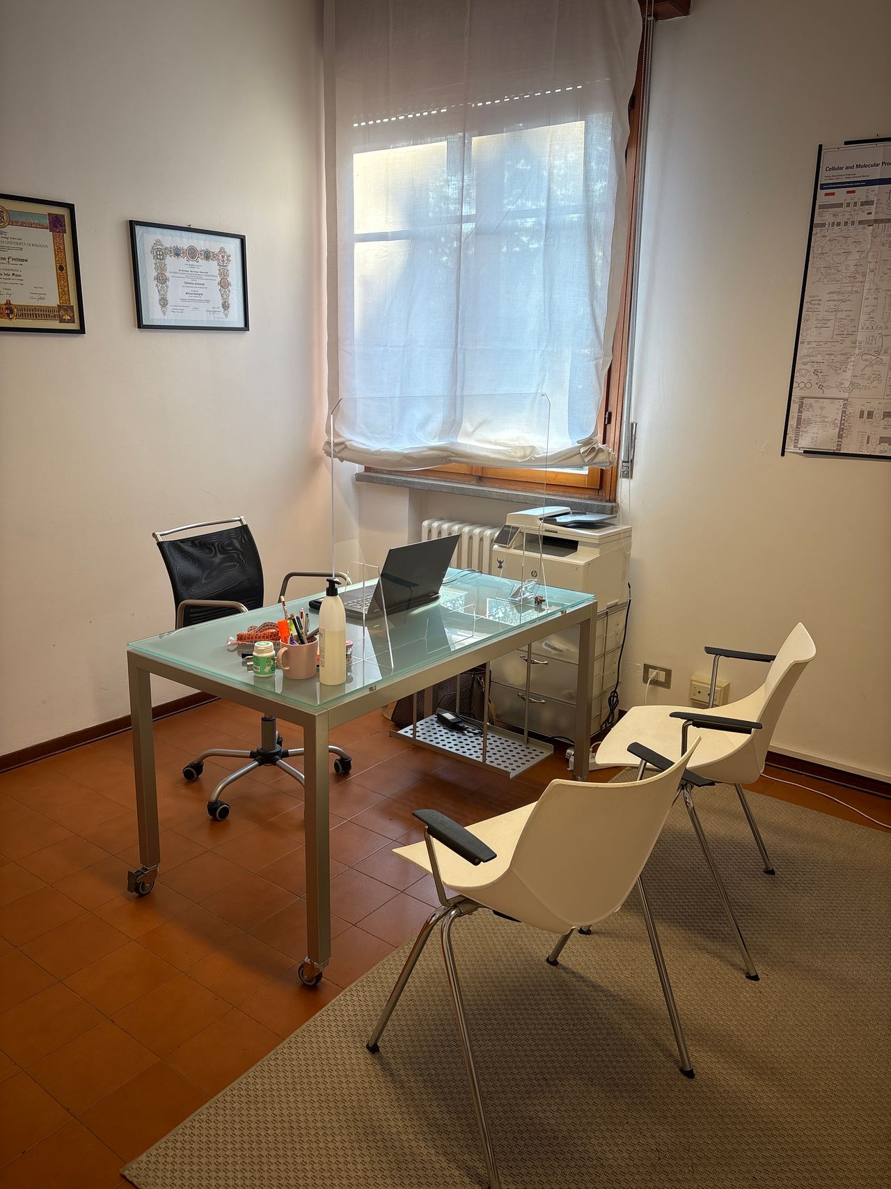 Elena Sofia Giovanardi-1