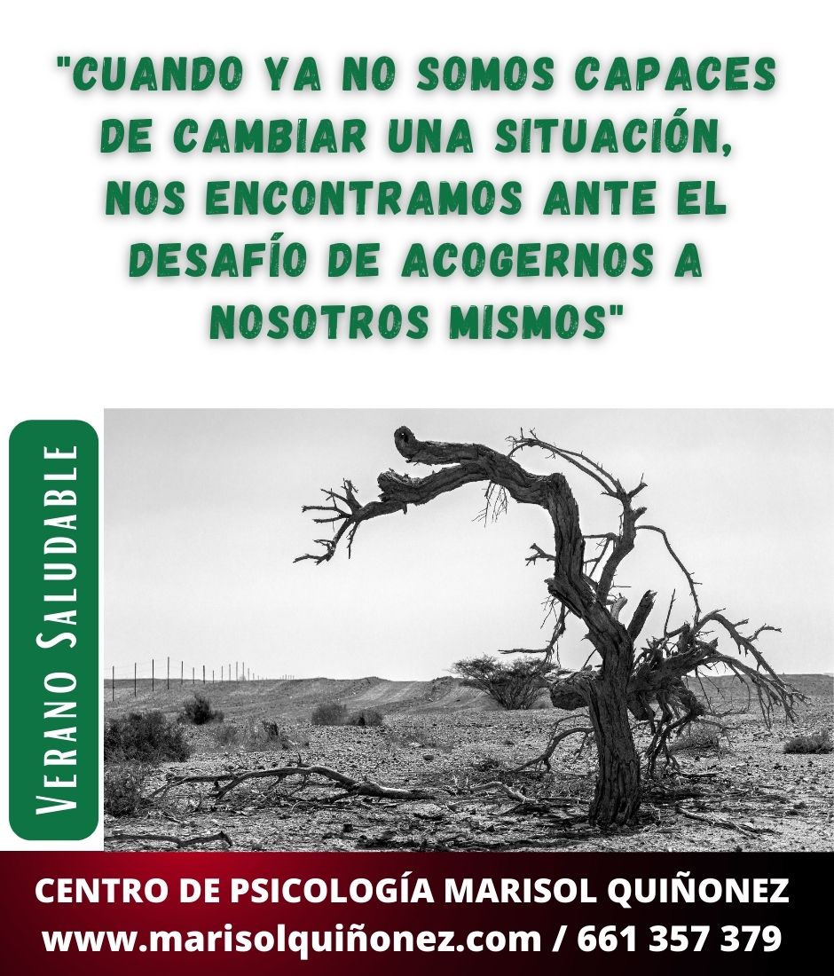 Marisol Quiñonez Quintero-57