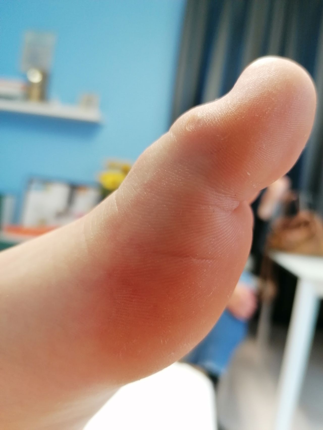 Kassandra Nicolosi-357