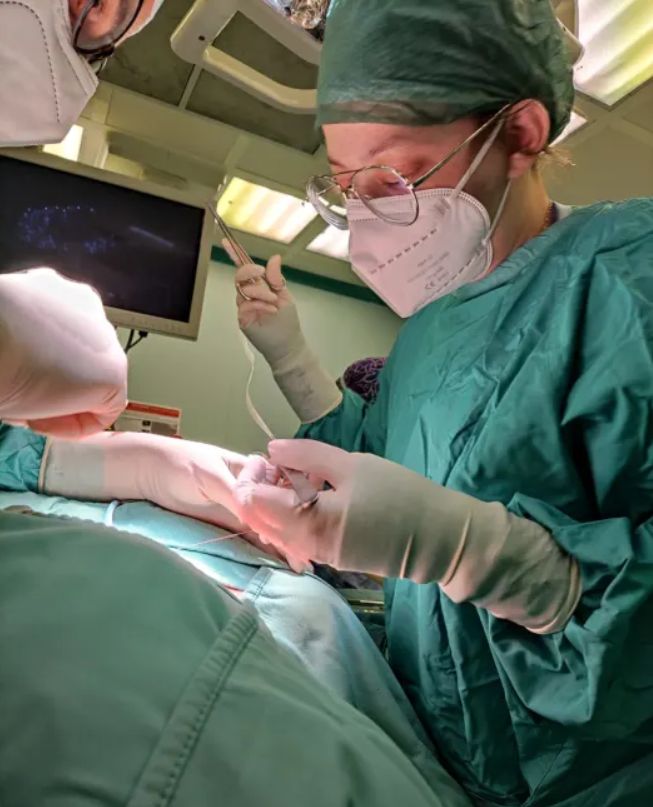 Mariateresa Guarino-0