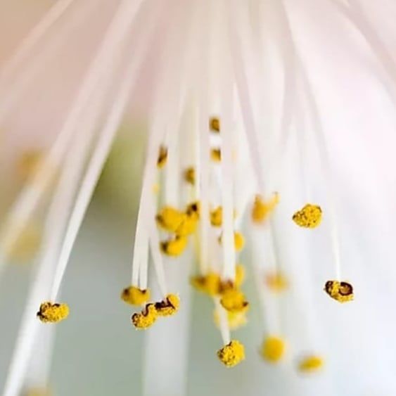 Alejandro García López-5