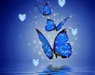 María Muñoz Fernández-1