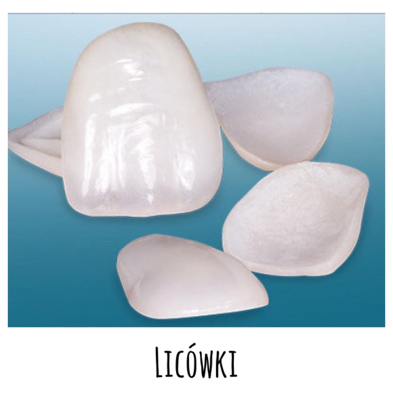 Karolina Anna Kownacka-13